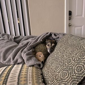 Meet your Posher, Cordelia